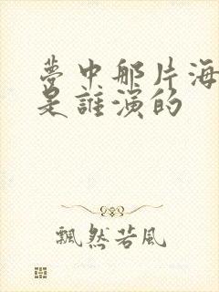 梦中那片海段磊是谁演的