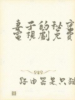 妻子的秘密韩剧电视剧免费观看