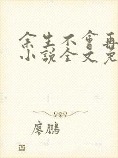 余生不会再爱你小说全文免费阅读封面