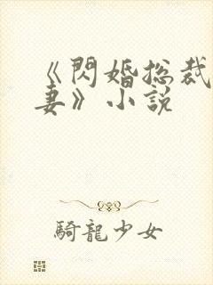 《闪婚总裁契约妻》小说