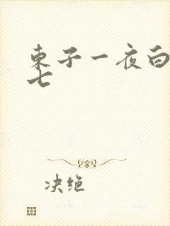 东子一夜白洁老七