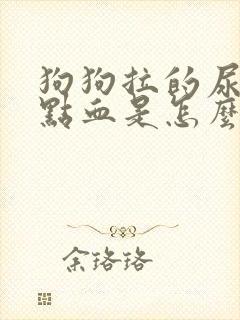 狗狗拉的尿有一点血是怎么了封面