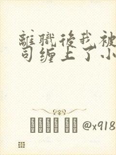 离职后我被前上司缠上了小说在线阅读