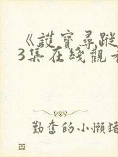 《护宝寻踪》23集在线观看