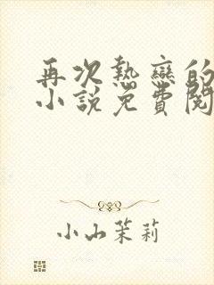 再次热恋的夏天小说免费阅读封面