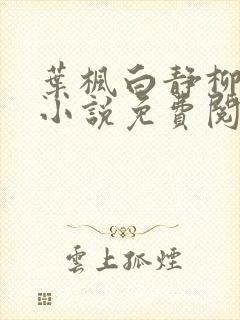 叶枫白静柳如烟小说免费阅读