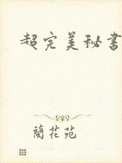 超完美秘书封面