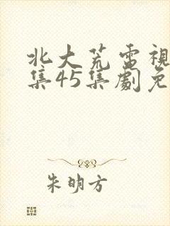 北大荒电视剧全集45集剧免费观看