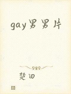 gay男男片