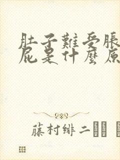 肚子难受胀气放屁是什么原因封面