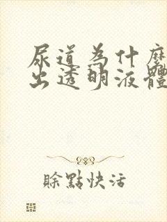 尿道为什么会流出透明液体