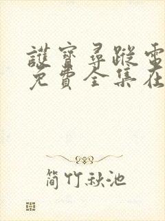 护宝寻踪电视剧免费全集在线观看