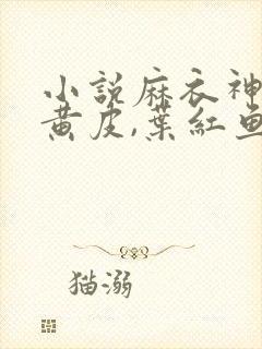 小说麻衣神婿陈黄皮,叶红鱼