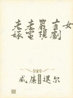 老老严有女不愁嫁电视剧封面