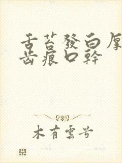 舌苔发白厚腻有齿痕口干