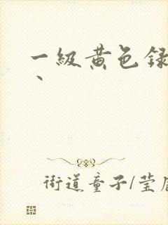 一级黄色录像片丶