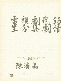 电视剧我的后半生分集剧情介绍