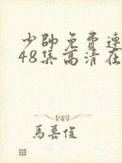 少帅免费连续剧48集高清在线观看