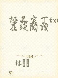 极品家丁txt在线阅读封面