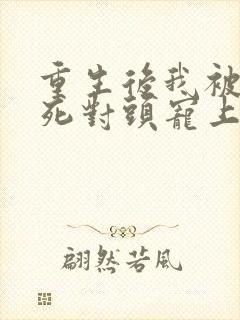 重生后我被渣男死对头宠上天.