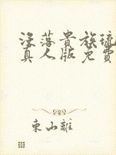 没落贵族琉璃川真人版免费观看全集