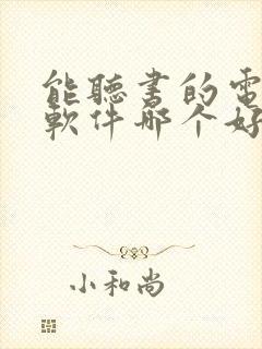 能听书的电子书软件哪个好