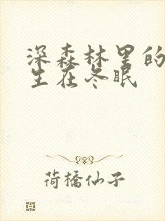 深森林里的熊先生在冬眠