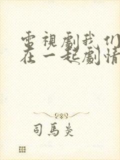 电视剧我们好好在一起剧情