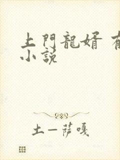 上门龙婿 有声小说