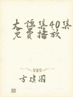 大锦集40集全免费播放