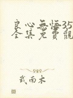 良心无悔35集全集免费观看