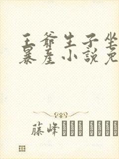 王爷生子坐木马暴产小说免费阅读