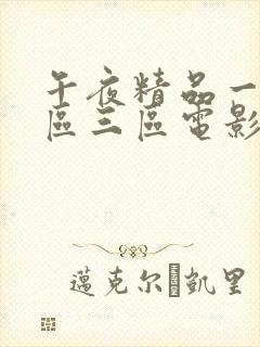 午夜精品一区二区三区电影天堂封面