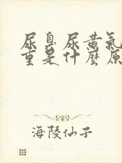 尿臭尿黄气味很重是什么原因