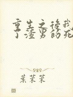 重生之后我嫁给了渣男的死对头短剧