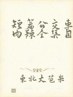 短篇公交车高h肉辣全集目录封面