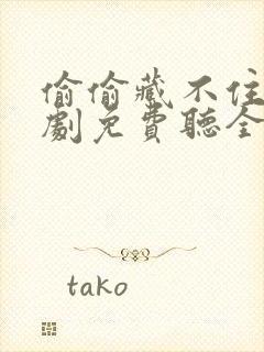 偷偷藏不住广播剧免费听全集