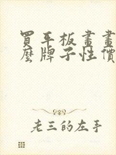 买平板画画买什么牌子性价比最高