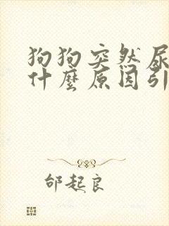 狗狗突然尿血是什么原因引起的