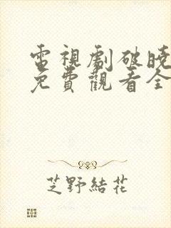 电视剧破晓东方免费观看全集