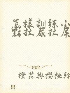 怎样训练小狗定点拉尿拉屎