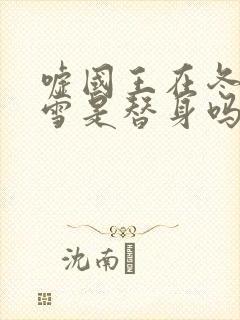 嘘国王在冬眠滑雪是替身吗