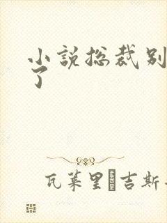 小说总裁别再玩了