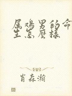 属鸡男的命运一生怎么样