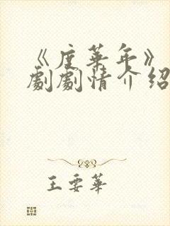 《度华年》电视剧剧情介绍