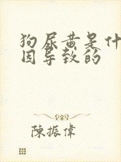 狗尿黄是什么原因导致的封面