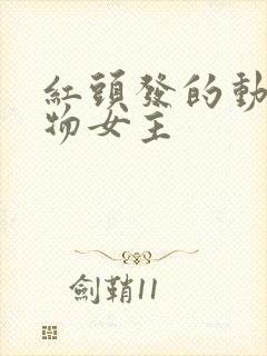 红头发的动漫人物女主封面