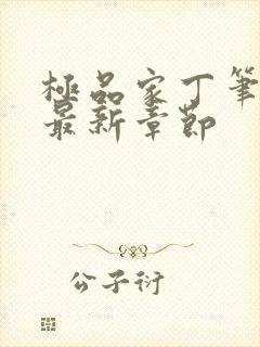 极品家丁笔趣阁最新章节