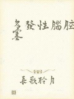 多发性脑腔隙梗塞