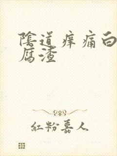 阴道痒痛白带豆腐渣